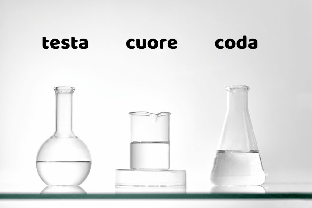 testa cuore e coda nella produzione del gin