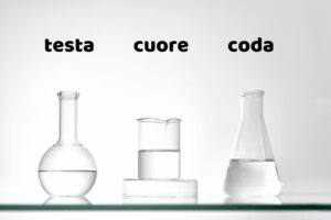 testa cuore e coda nella produzione del gin