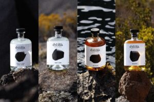 la linea di prodotti d'stilla. amari e gin conto terzi personalizzati